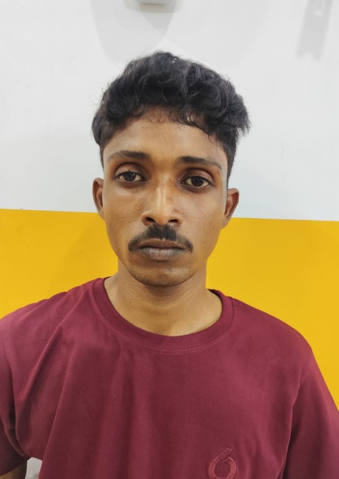 Article illustration